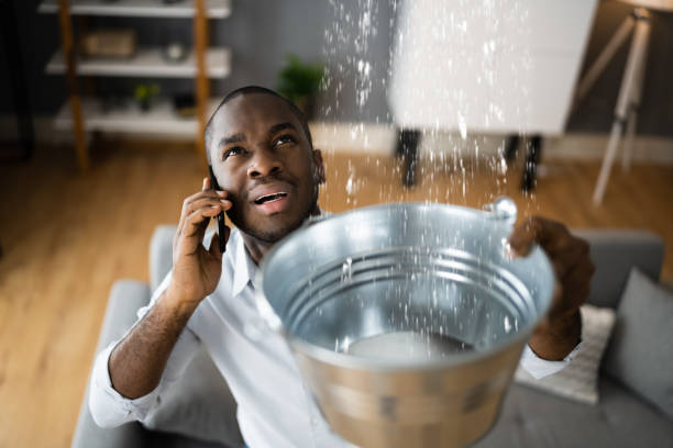 Best Flood restoration services  in Hawaiian Ocean View, HI