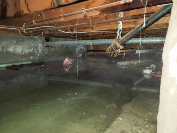 Best Ceiling water damage repair  in Hawaiian Ocean View, HI