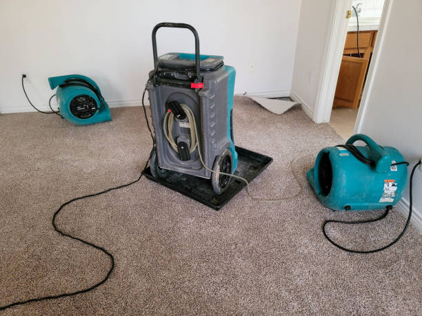 Best Water damage restoration near me  in Hawaiian Ocean View, HI