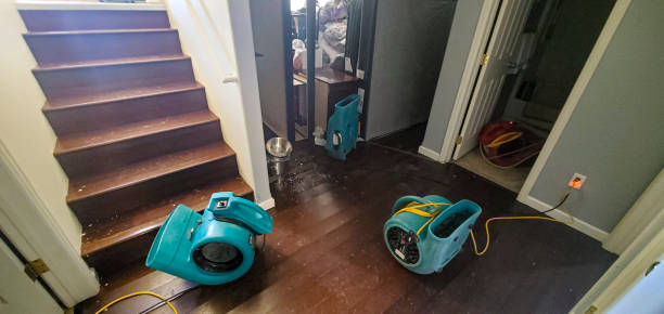 Best Water damage contractors near me  in Hawaiian Ocean View, HI