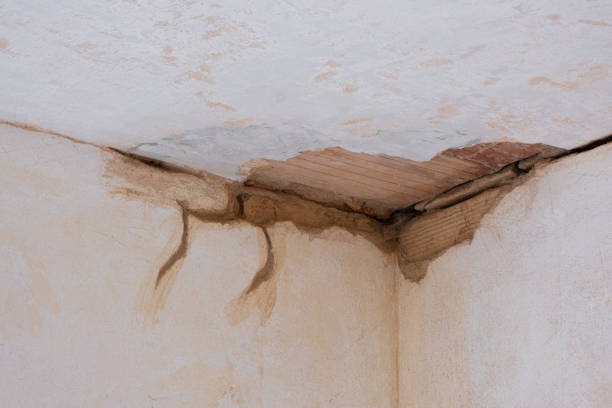 Best Carpet water damage restoration  in Hawaiian Ocean View, HI