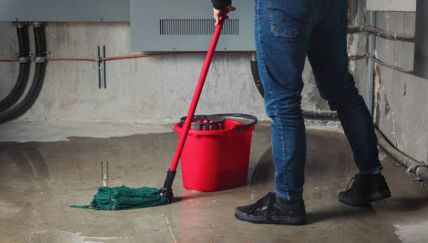 Best Water damage restoration near me  in Hawaiian Ocean View, HI