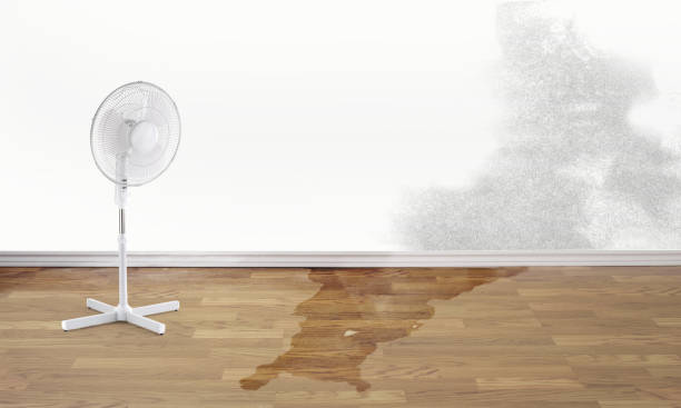Best 24/7 water damage repair  in Hawaiian Ocean View, HI