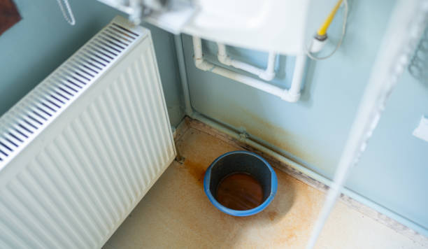 Best Basement water damage restoration  in Hawaiian Ocean View, HI