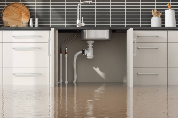 Best Mold removal after water damage  in Hawaiian Ocean View, HI